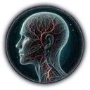 noninvasive vascular imaging interventional radiology calculators nascet ecst carotid stenosis