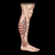 orads o-rads o'rads calculator